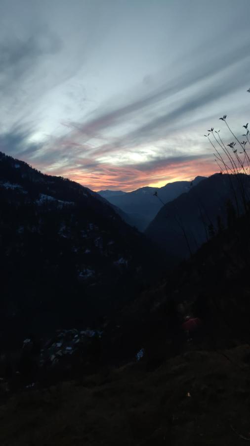 Parvatis Lap Luxury Hostel & Camps Kasol Bagian luar foto