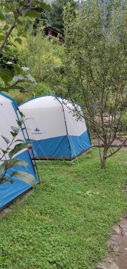 Parvatis Lap Luxury Hostel & Camps Kasol Bagian luar foto
