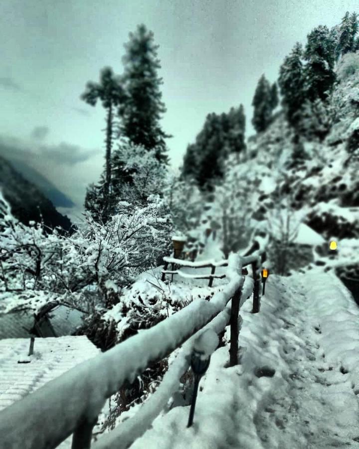 Parvatis Lap Luxury Hostel & Camps Kasol Bagian luar foto