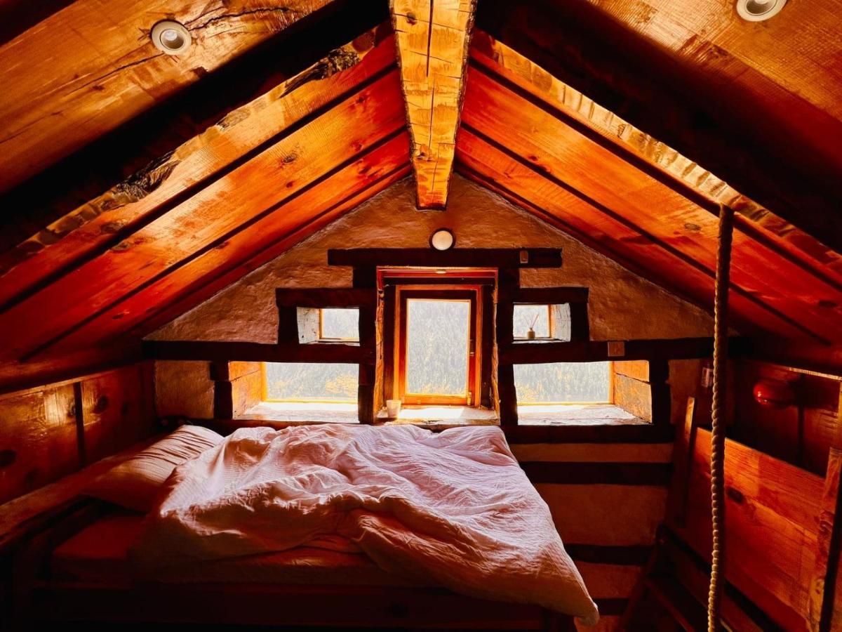Parvatis Lap Luxury Hostel & Camps Kasol Bagian luar foto