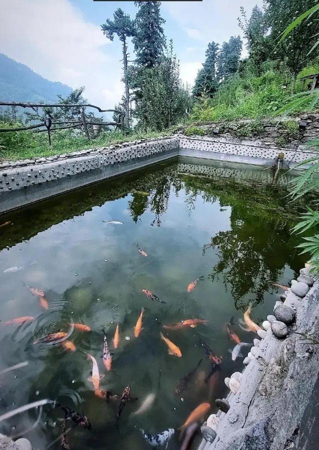 Parvatis Lap Luxury Hostel & Camps Kasol Bagian luar foto
